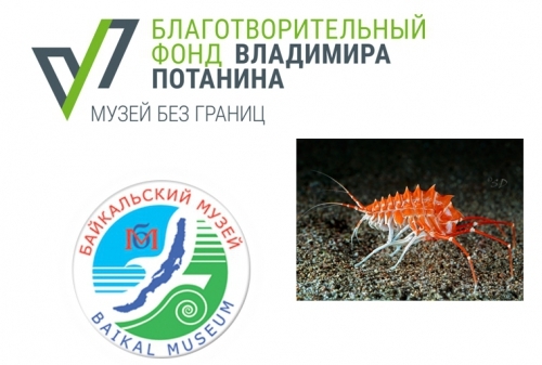 Продолжение работ «Музей 4.0 программы «Музей без границ» Благотворительного фонда Владимира Потанина» - основной вид