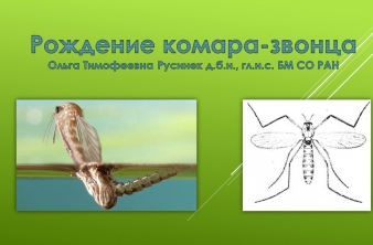 Урок зоологии в лицее № 1
