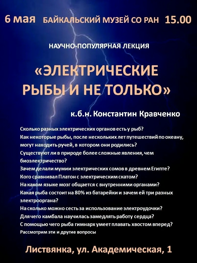 Лекция к. б. н. Константина Кравченко «Электрические рыбы и не только» - основной вид