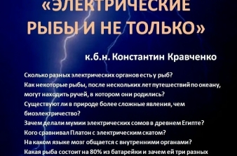 Лекция к. б. н. Константина Кравченко «Электрические рыбы и не только»