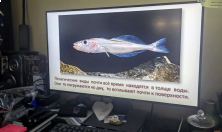 миниатюра - В Байкальском музее продолжается программа ранней профориентации школьников в науках о Байкале - дополнительный вид 8